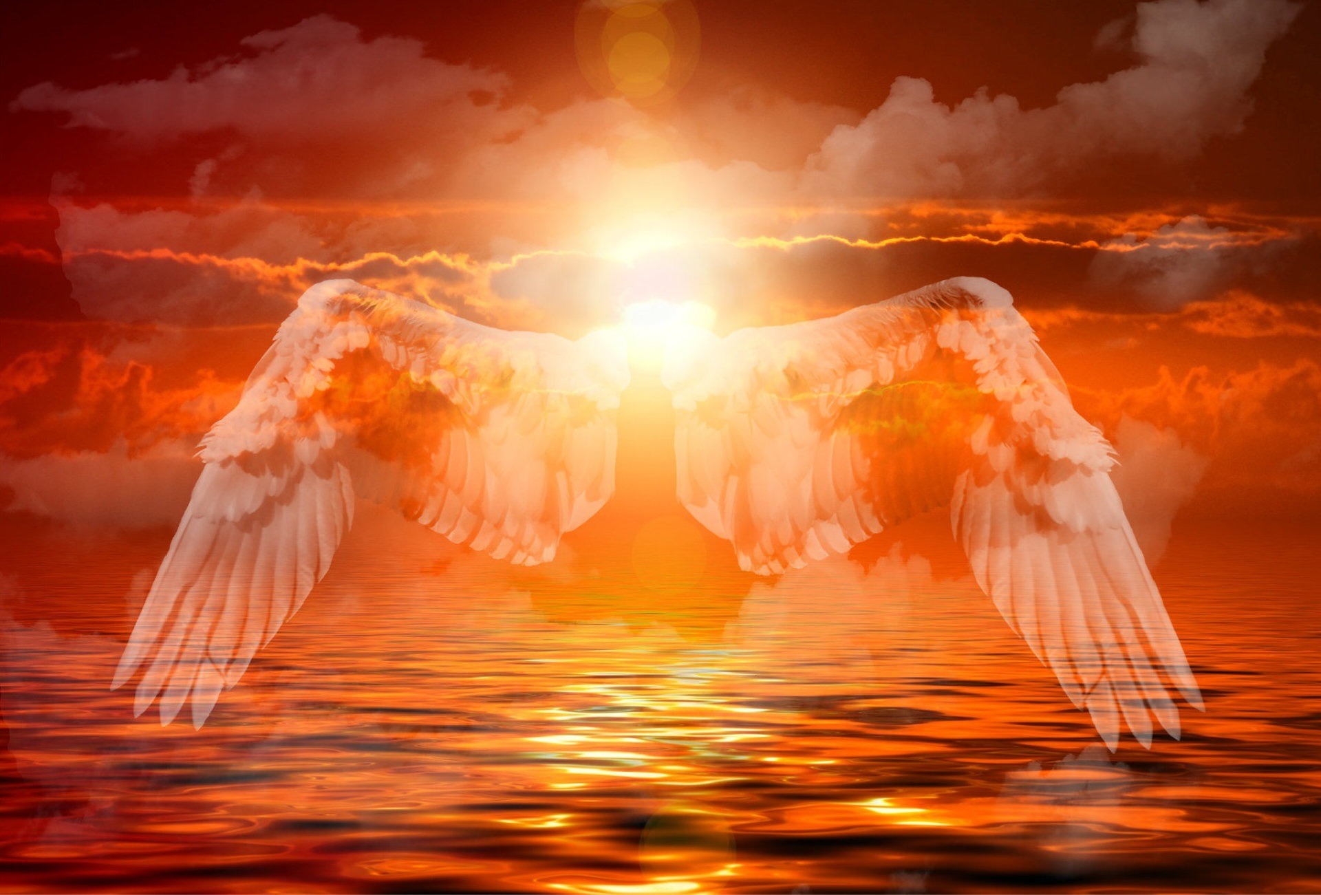 angel-574647