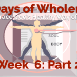 01.1-40 days wholeness - 6 purpose
