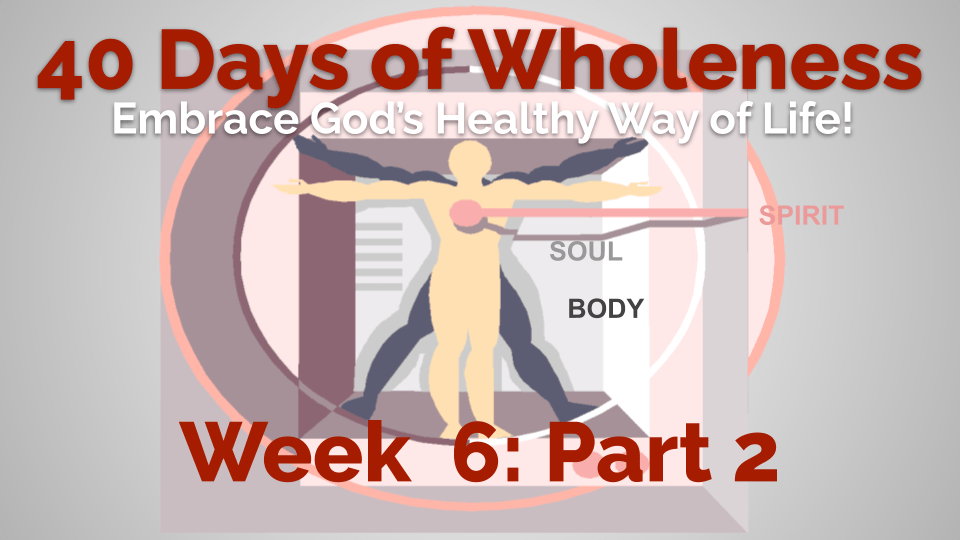 01.1-40 days wholeness - 6 purpose