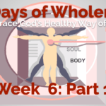 01.2-40 days wholeness - 6 purpose