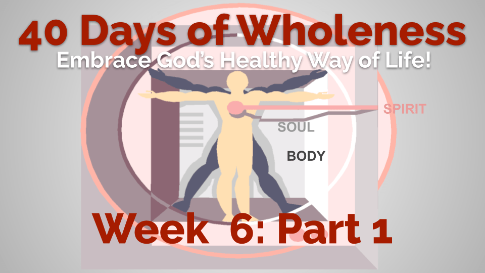 01.2-40 days wholeness - 6 purpose