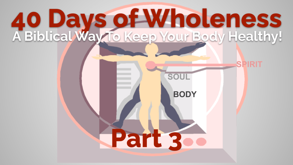 01wholeness - 3 healthy body