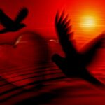 heart-81207_1920