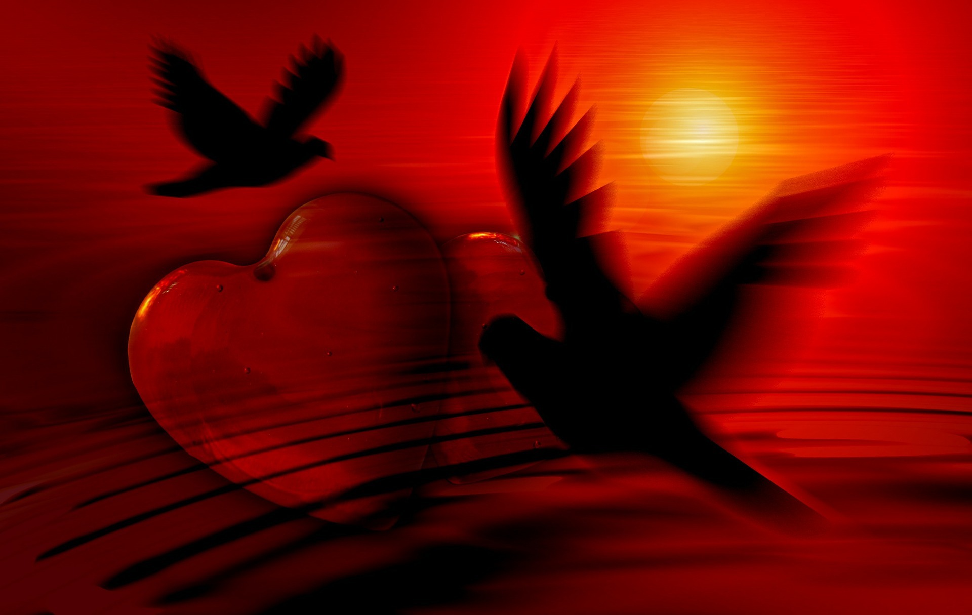 heart-81207_1920